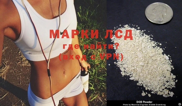стафф Надым