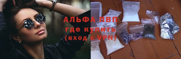 стафф Надым