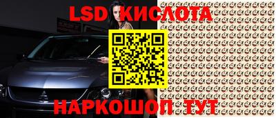 гашишное масло Берёзовский