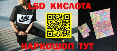 apvp Бийск