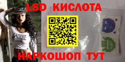 apvp Бийск