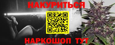apvp Бийск