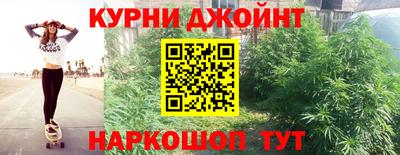 apvp Бийск